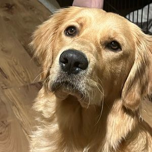 Meet your Posher, Louise